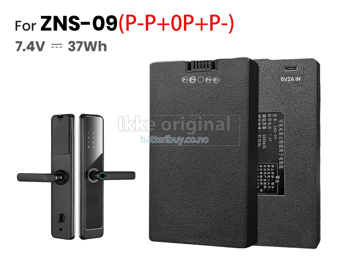 AolsteCell ZNS-09 batteri
