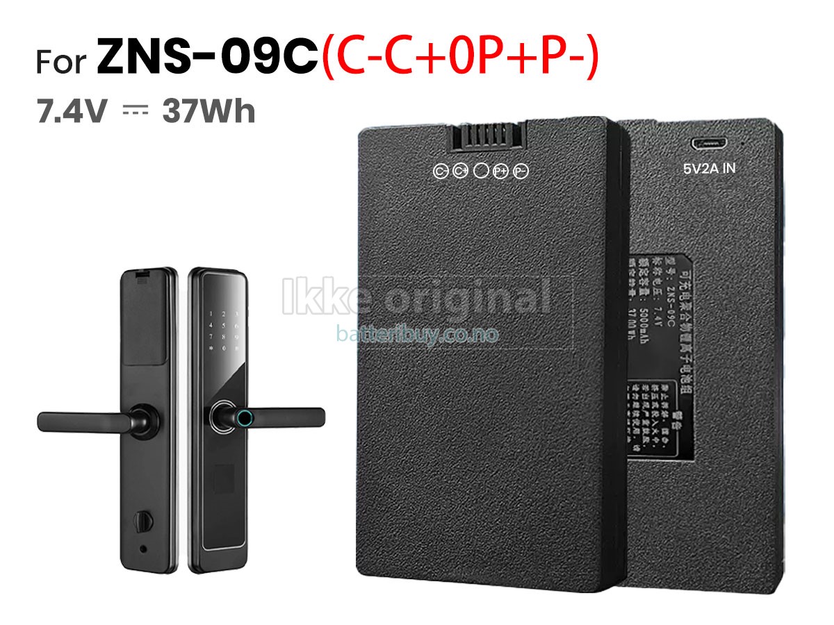AolsteCell ZNS-09C batteri