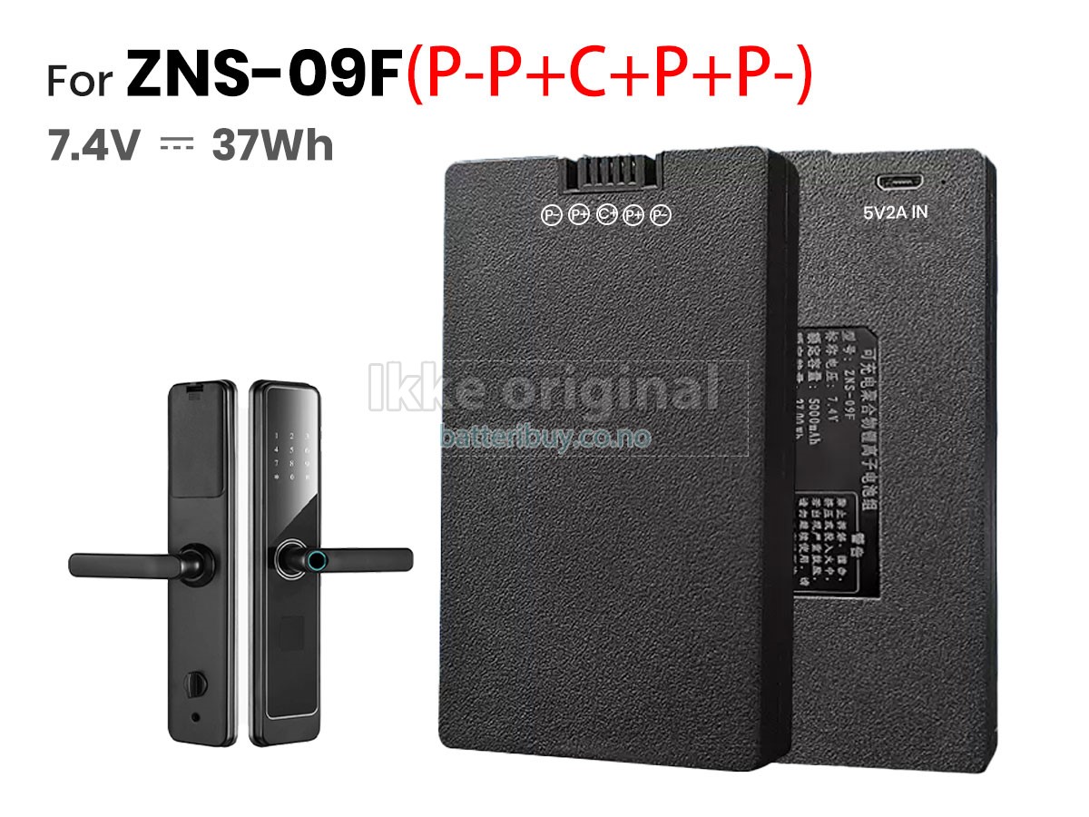 AolsteCell ZNS-09F1 batteri