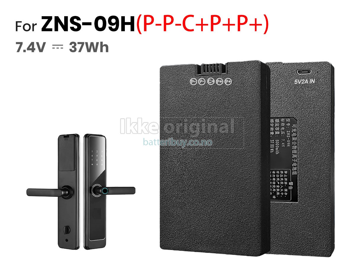 AolsteCell ZNS-09H1 batteri