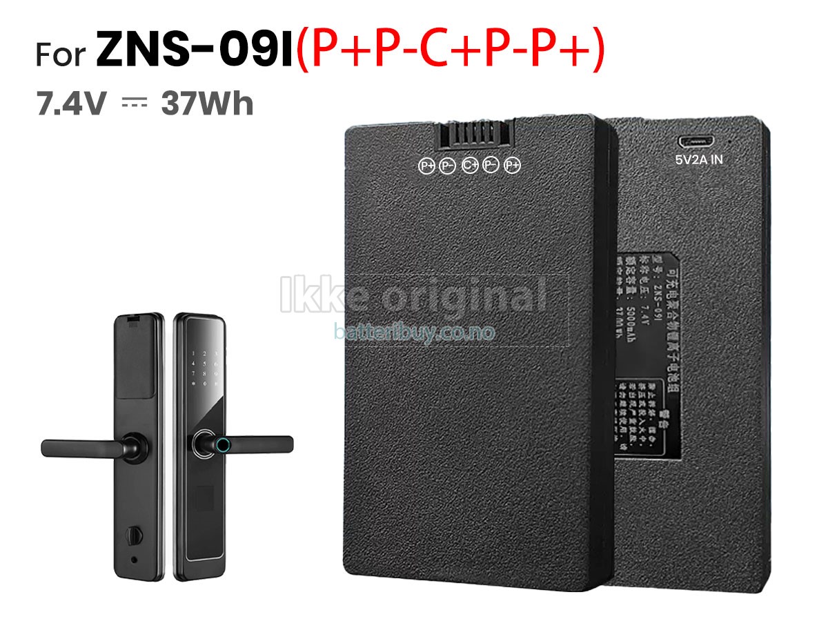 AolsteCell ZNS-09I batteri