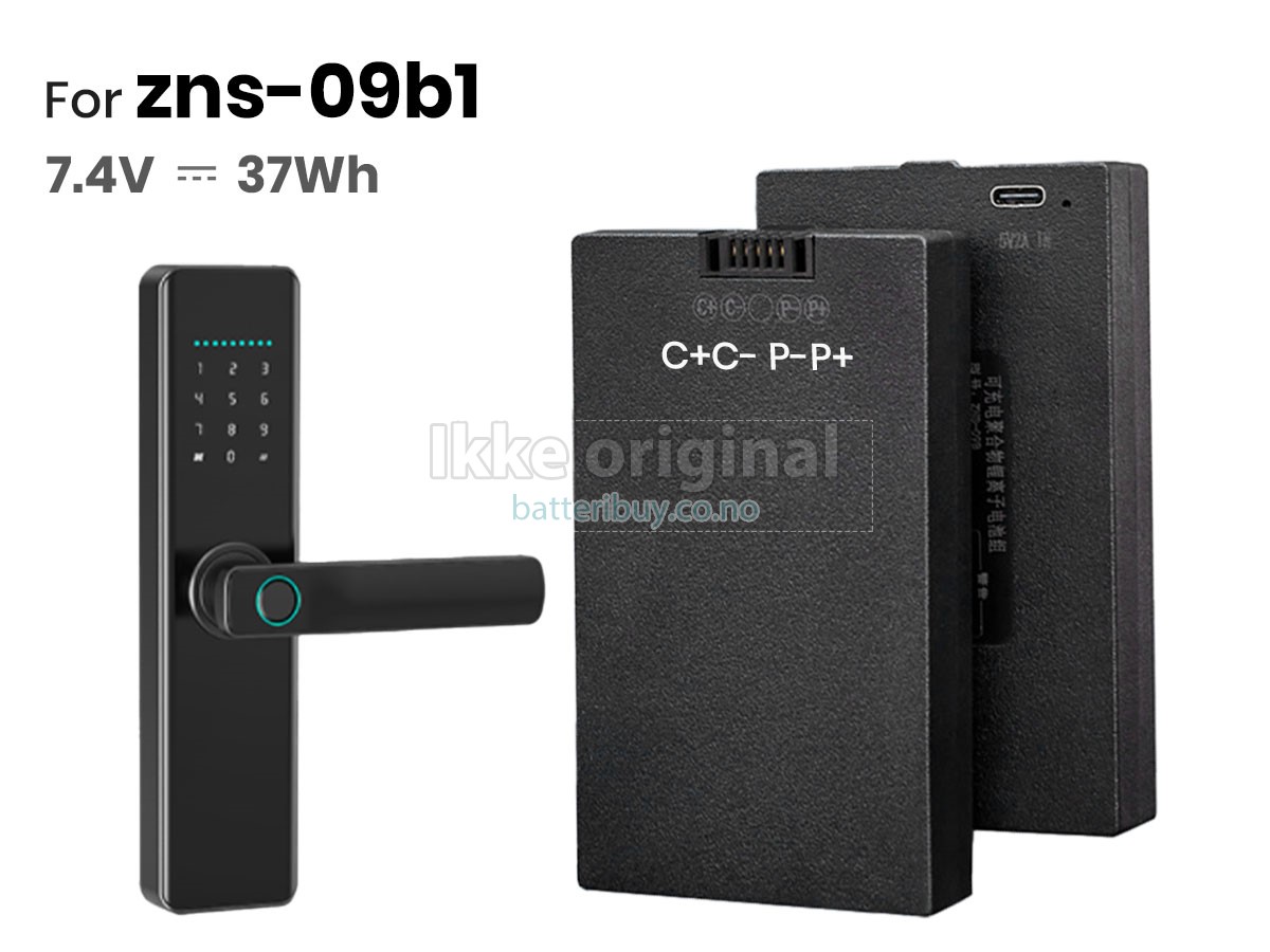 AolsteCell HZ-ZWS-001 batteri