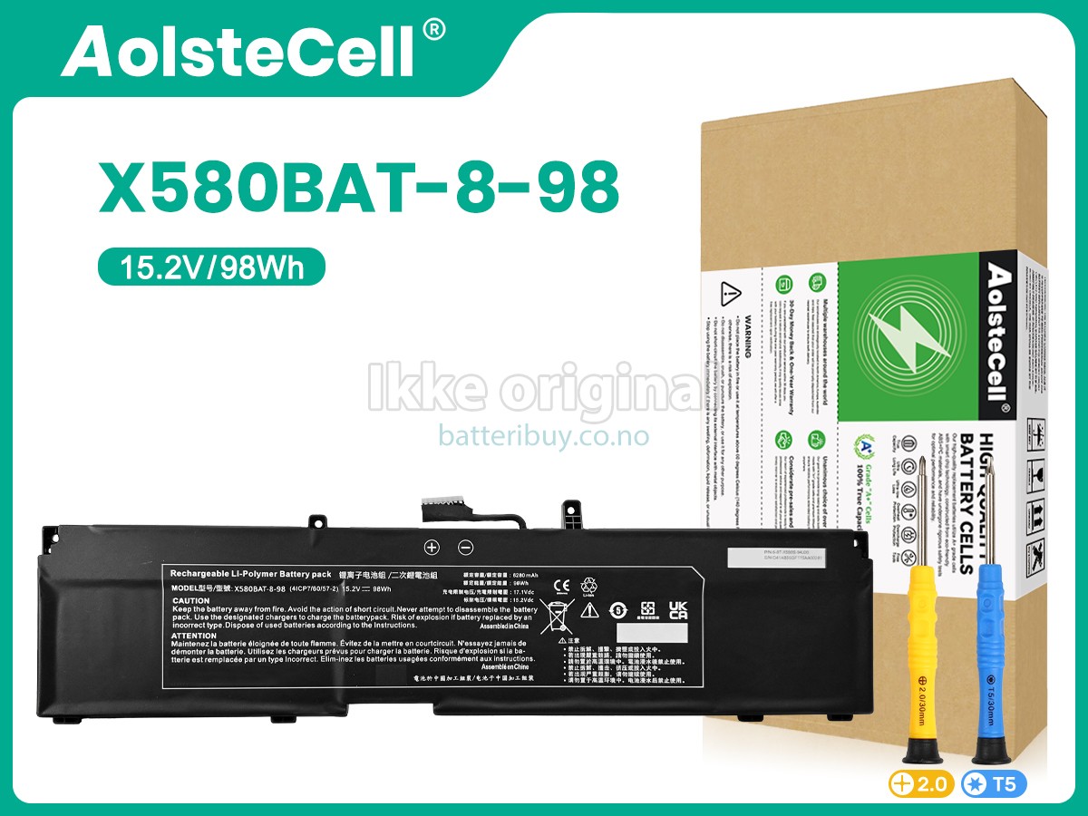 Clevo 6-87-X580S-94J00 batteri