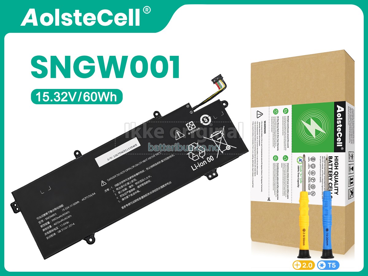 Great Wall SNGW001 batteri