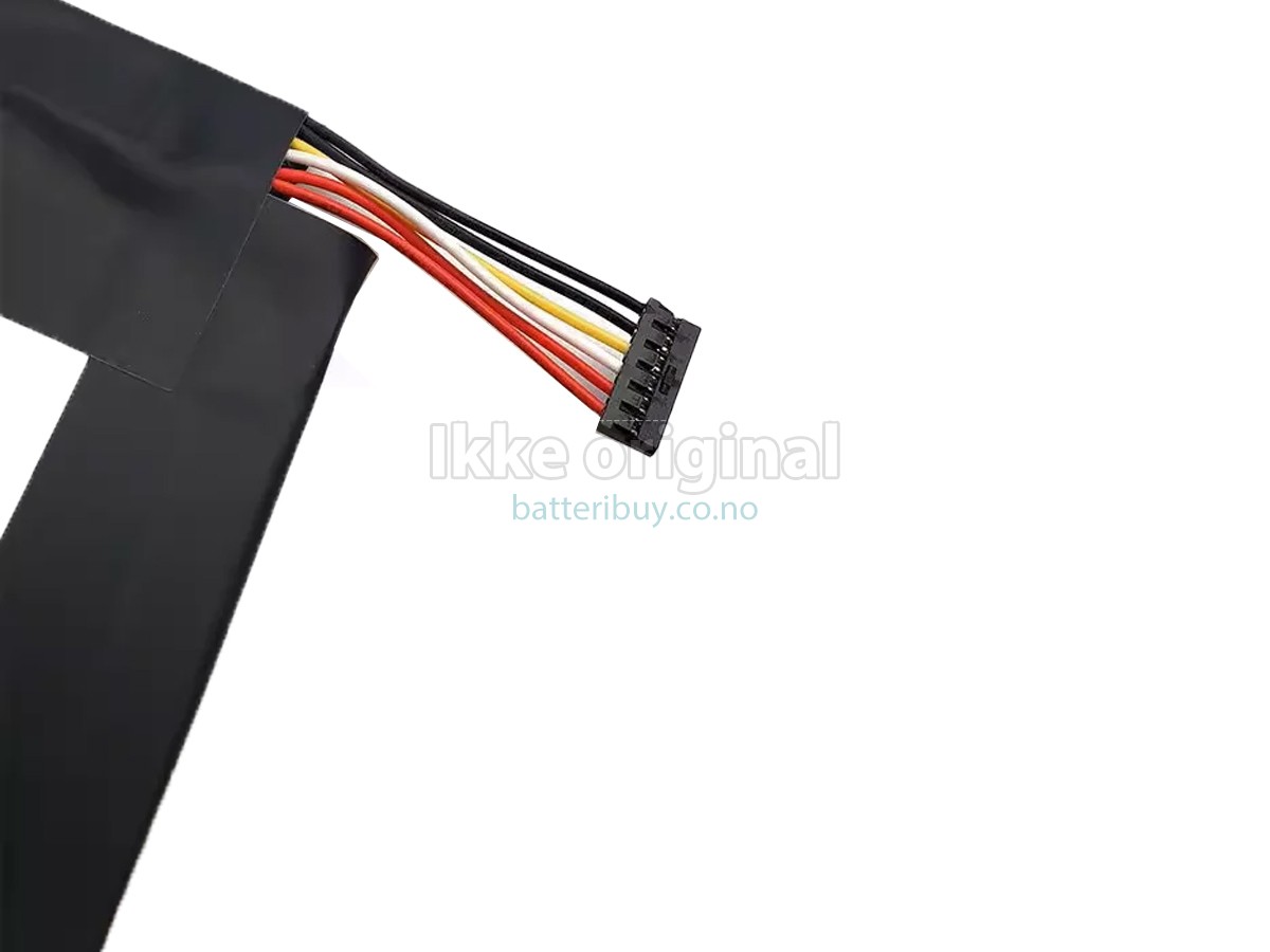 Nalong AECG-12W batteri