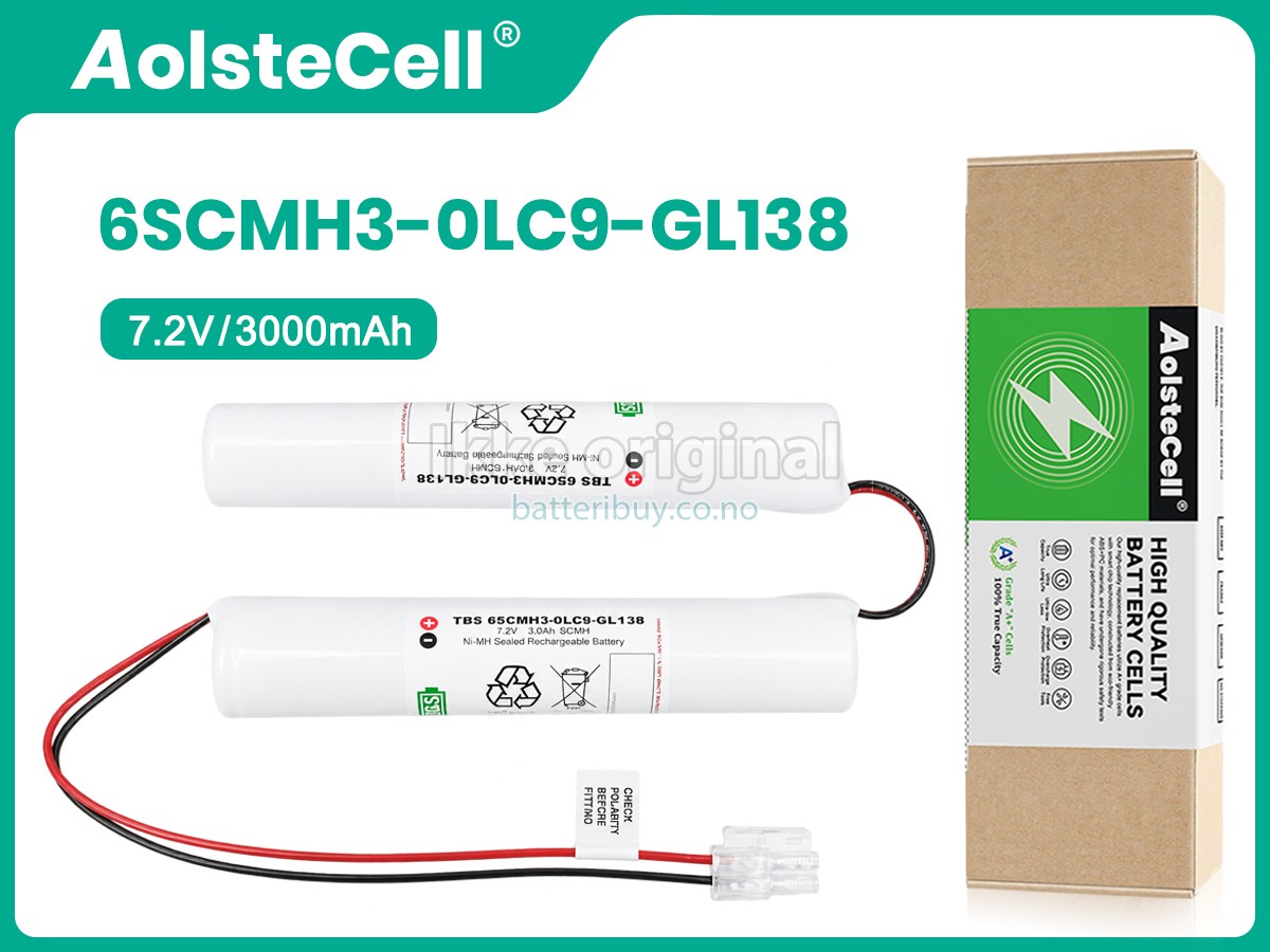 Philips 6SCMH3-0LC9-GL138 batteri
