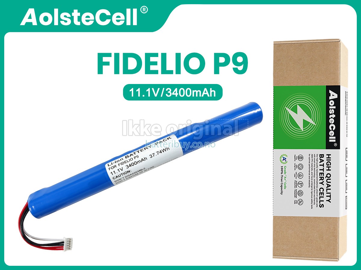 Philips FIDELIO P9 batteri