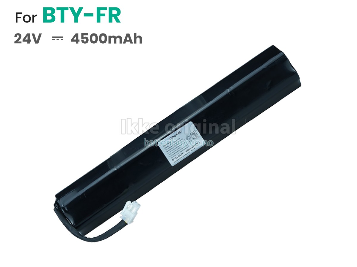 Roland FR-7 I batteri