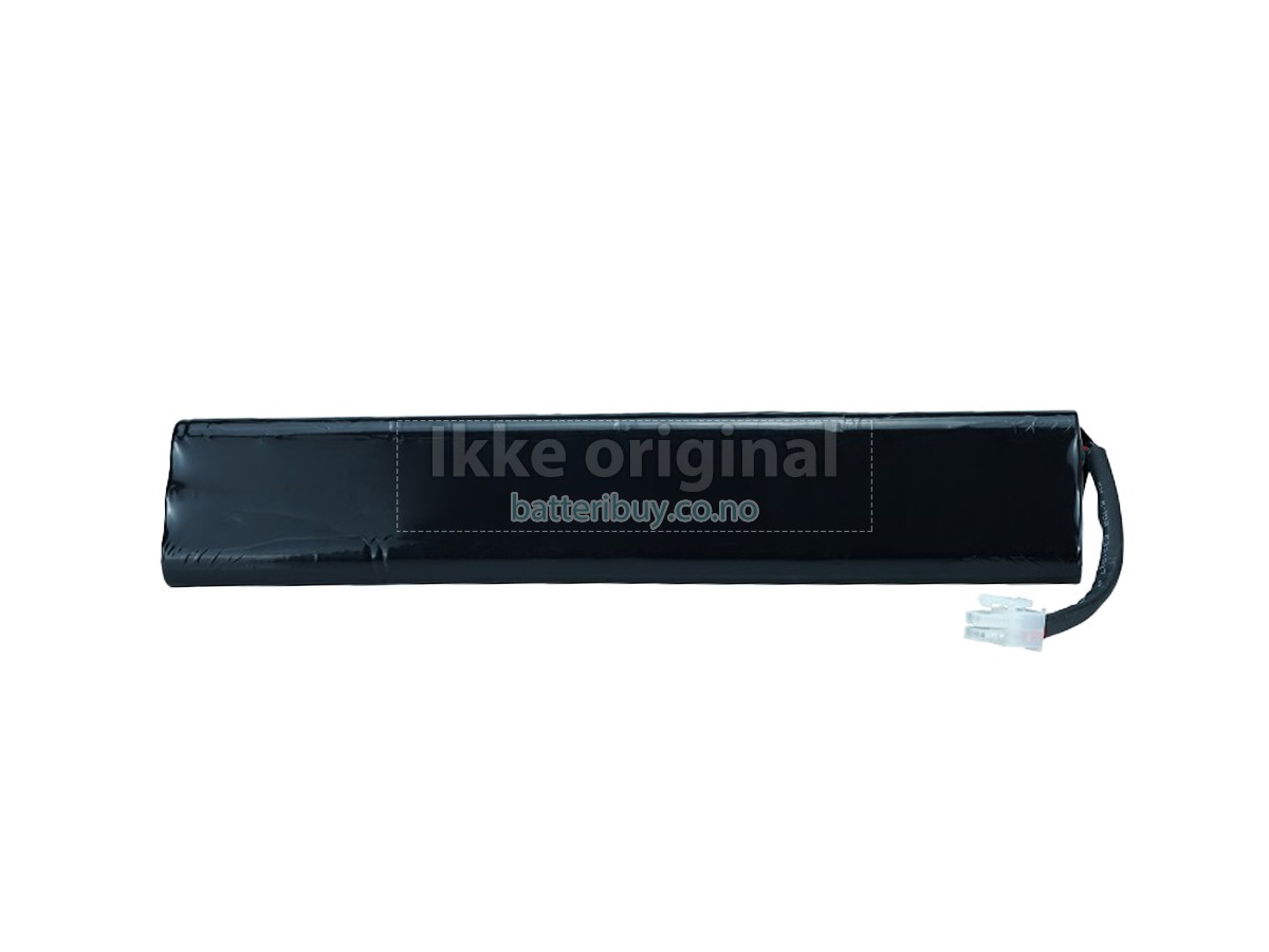 Roland FR-7 I batteri