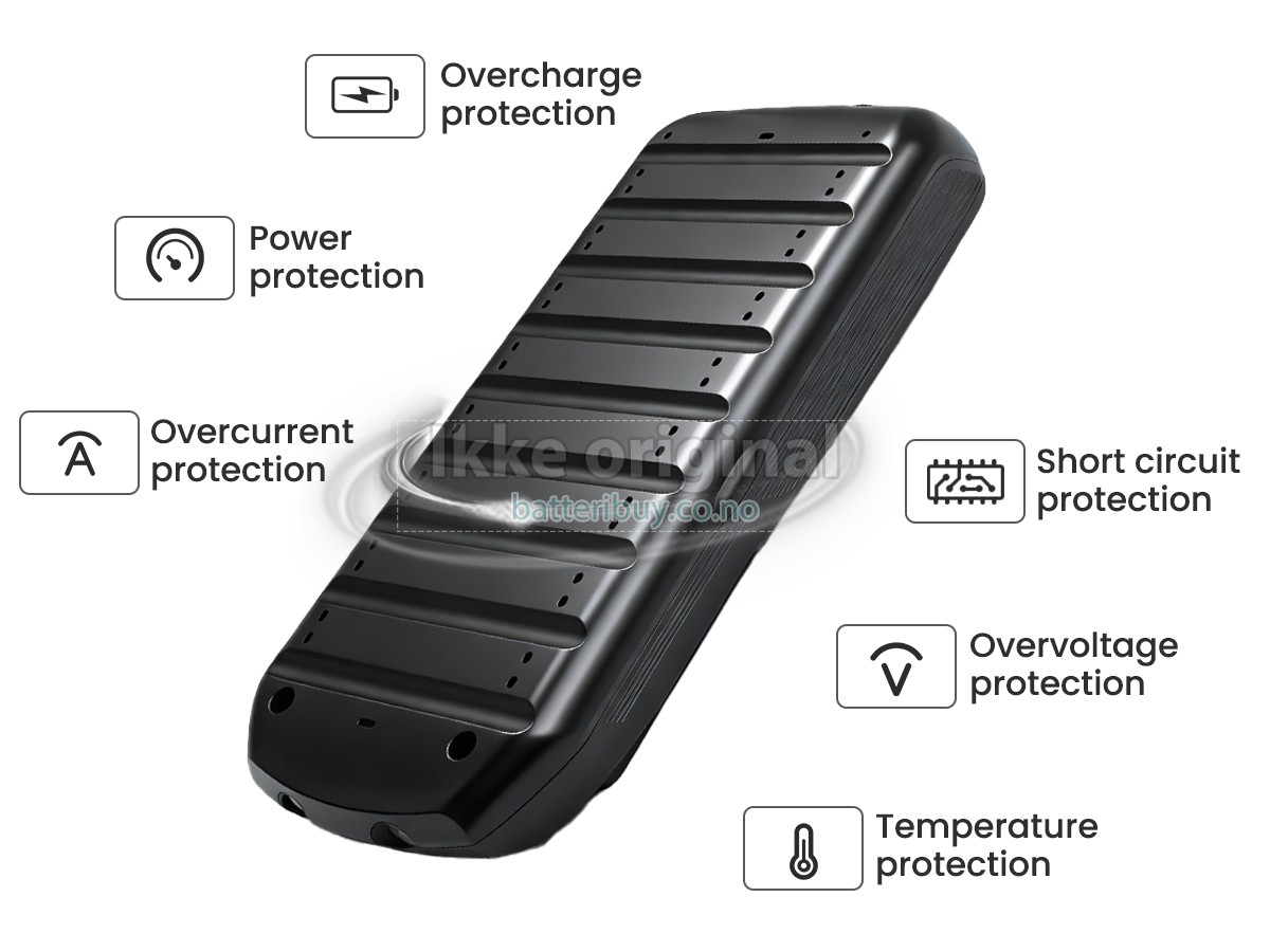Rowenta SS-2230003384 batteri