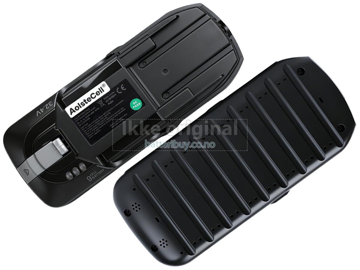 Rowenta SS-2230003384 batteri