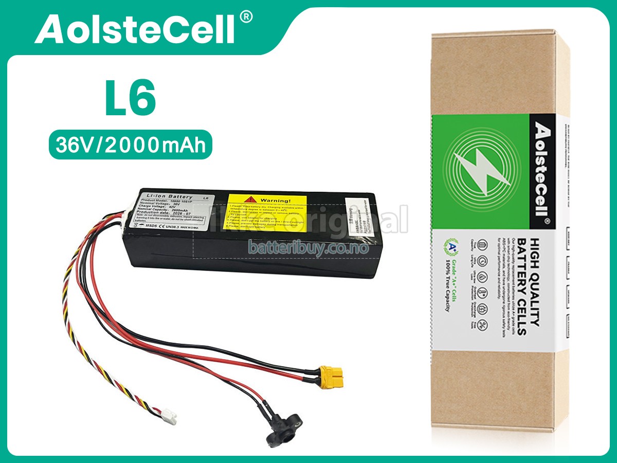 Segway Ninebot L6 batteri