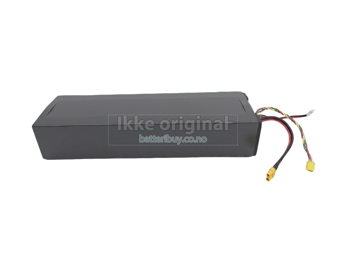 Segway Ninebot H1319-H batteri