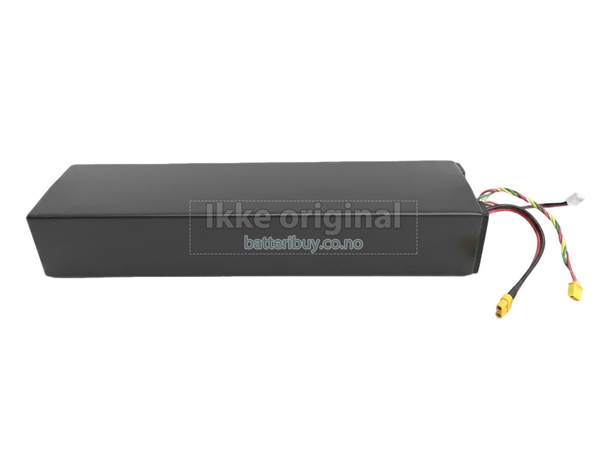 Segway Ninebot H1319-H batteri