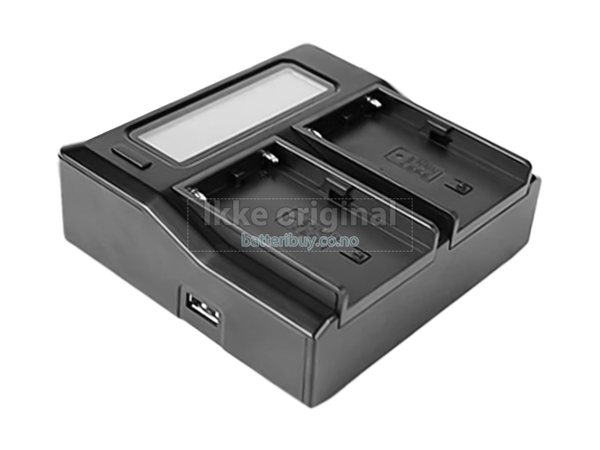 Sony BP-U66 batteri