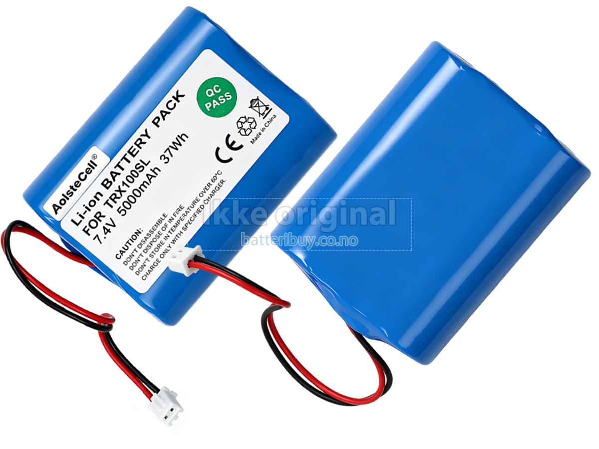 Teufel ROCKSTER XS 2016 batteri
